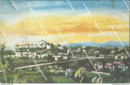 Cm351 Cartolina Panorama Di Gorizia Citta' Trentino - Gorizia