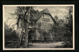 AK Coswig, Heilstätte Lindenhof Mit Albert-Villa  - Coswig