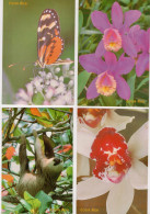 COSTA RICA - 6 Postal Stationary 1999 Overprinted EXPOFILA 2006 - Sloth - Orquids - Butterfly ECOLOGICAL DESIGNS - #545 - Costa Rica