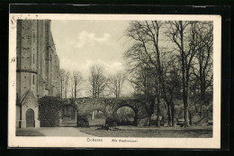 AK Doberan, Alte Klostermauer  - Bad Doberan