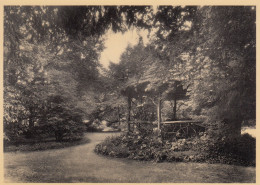 MONT SUR MEUSE  SANATORIUM KIOSQUE - Yvoir