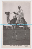 C024507 Omdurman. A Smart Camel Man. G. N. Morhig - Monde