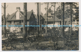 C024371 View Of The Houses In The Wood. 1913 - Monde