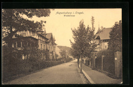 AK Augustusburg I. Erzgeb., Blick In Die Waldstrasse  - Augustusburg