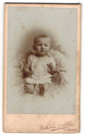 Fotografie Wilhelm Adler, Coburg, Allee 6, Portrait Süsses Baby Im Weissen Hemdchen  - Personnes Anonymes