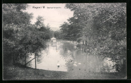 AK Hagen I. W., Stadtgartenpartie Am Teich  - Hagen