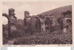 L14- CHERCHELL (ALGER) AQUEDUC DE OUED BELLAH - COLL. TIRIAKI , CHERCHELL - ( 2 SCANS ) - Alger