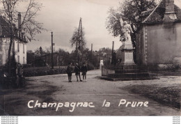 19) CHAMPAGNAC LA PRUNE (CORREZE) CARTE PHOTO - HABITANTS AVEC ACCORDEONNISTE - 1959 -   ( 2 SCANS ) - Autres & Non Classés