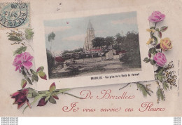 L4-28) DE BREZOLLES - JE VOUS ENVOIE CES FLEURS + VUE PRISE DE LA ROUTE DE VERNEUIL - EN  1906 - Other & Unclassified