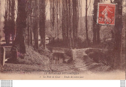 L3-33) BAZAS - LE BAZADAIS PITTORESQUE - LE PONT DE CESAR - ETUDE DE CONTRE JOUR - Bazas