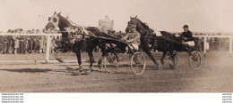 ORAN - ALGERIE - PHOTO MORIS ORAN - HIPPISME -  COURSE DE CHEVAUX - SULKY  2 SCANS - Lieux