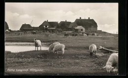 AK Hallig Langeness, Hilligenlei  - Sonstige & Ohne Zuordnung