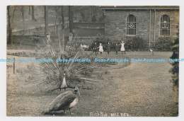 C025151 Firth Park. M. And S. Postcard - Monde