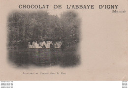 L6-38) ALLEVARD - CASCADE DANS LE PARC   - CARTE PUB CHOCOLAT DE L ' ABBAYE D'IGNY (MARNE) - (2 SCANS) - Allevard