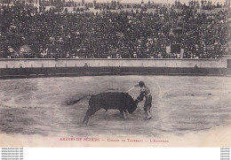 L12-34) ARENES  DE  BEZIERS - COURSE DE TAUREAUX - ESTOCADE - CORRIDA - ( 2 SCANS ) - Beziers