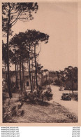 L14-44) LA  BAULE SUR MER - UNE VUE DE LA FORET  -  ( 2 SCANS )  - La Baule-Escoublac