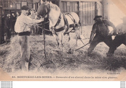 L19-71) MONTCEAUX LES MINES - DESCENTE D ' UN  CHEVAL DANS LA  MINE - 1 ERE PHASE - MINEURS  - ( 2 SCANS )  - Montceau Les Mines