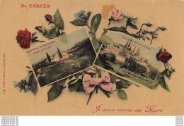 L22-83) CARCES - JE VOUS ENVOIE CES FLEURS - 2 VUES   -  ( 2 SCANS ) - Autres & Non Classés