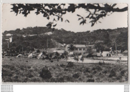 83) LES OURSINIERES PAR LE PRADET (VAR) VUE GENERALE DU CAMP C.C.O.S. ELECTRICITE DE FRANCE EN 1959 - 2 SCANS - Le Pradet