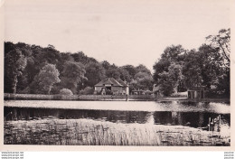 L8-35) FORET DE FOUGERES - ETANG ET RESTAURANT DE ST - FRANCOIS - ( 2 SCANS ) - Fougeres