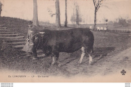 L9-87)  EN  LIMOUSIN  - UN LAUREAT  - BOEUF - ( 2 SCANS ) - Autres & Non Classés