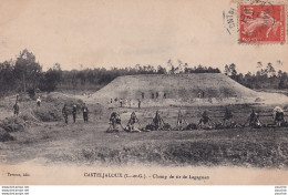 L9-47) CASTELJALOUX (LOT ET GARONNE) CHAMP DE TIR DE LAGAGNAN - Casteljaloux