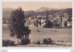 L18-26) SAINT MARTIN EN VERCORS -  PAYSAGE - ( 2 SCANS ) - Other & Unclassified