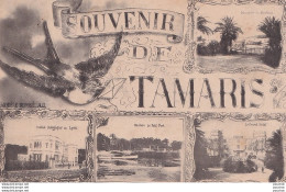 L19-83) TAMARIS - SOUVENIR MULTIVUES - HIRONDELLE - ( 2 SCANS ) - Tamaris