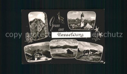 72199179 Nesselwang Kirche Kuehe Sportheim  Nesselwang - Autres & Non Classés