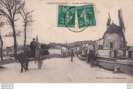 M11-11) CASTELNAUDARY - AVENUE DE MIREPOIX - ANIMEE - HABITANTS - ATTELAGE D' ANE - MOULIN A VENT - EN 1910 - Castelnaudary