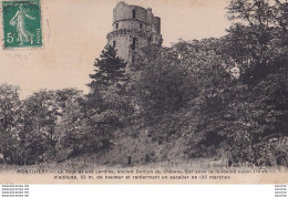 M10-91) MONTLERY - LA TOUR ET SES JARDINS - ANCIEN DONJON DU CHATEAU FORT SOUS LA FEODALITE - Montlhery