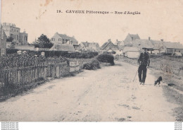 M3-80) CAYEUX SUR MER - RUE D ' ANGLES - ANIMEE - HABITANT PROMENANT SON CHIEN - ( 2 SCANS ) - Cayeux Sur Mer