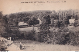 A8-78) ABBAYE DE PORT ROYAL - VUE D ' ENSEMBLE - ( ANIMEE - 2 SCANS ) - Sonstige & Ohne Zuordnung