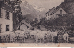 A8-65) GAVARNIE ( HAUTES PYRENEES ) L ' ARRIVEE DES TROUPEAUX - ( 2 SCANS ) - Gavarnie