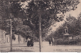 A7-31) MURET - HAUTE GARONNE - ALLEES NIEL - DALAYRAC - PROMENEURS -  EN 1918 - ( 2 SCANS ) - Muret