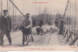 A7-31) SALIES DU SALAT - HAUTE GARONNE - RETOUR DU MARCHE -  ( 2 SCANS ) - Salies-du-Salat