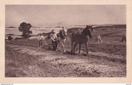 A1- AGRICULTURE ATTELAGE DE CHEVAUX CHARRUE LABOURAGE + PUB CHOCOLAT KLAUS MORTEAU FRANCE LE LOCLE SUISSE AU VERSO - Equipos