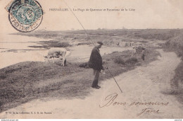 A21-44) PREFAILLES - LA PLAGE DE QUEROUAR ET PANORAMA DE LA COTE - ANIMEE - PERONNAGES - VACHE - EN 1904 - Préfailles