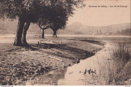 A21-01) ENVIRONS DE BELLEY ( AIN ) LAC DE SAINT CHAMPS - ( 2 SCANS ) - Belley