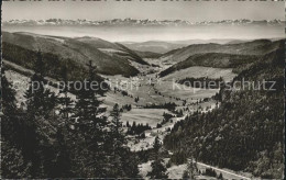 72198027 Menzenschwand Blick Vom Feldberg Mit Schweizer Alpen Menzenschwand - St. Blasien