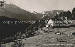 72197779 Partnachalm Dreitorspitze Partnachalm - Garmisch-Partenkirchen