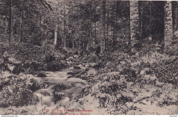 I14-88) LES VOSGES PITTORESQUES - PECHE DE LA TRUITE EN FORET - EN 1914 - ( 2 SCANS ) - Autres & Non Classés