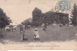 I6-64) SALIES DE BEARN - FERME DE BAILLENX - PAYSANS - HABITANTS VACHES -  EN 1907 - Salies De Bearn