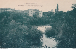 I24-31) MURET - HAUTE GARONNE - CHAUSSEE DE LA LOUGE -  ( 2 SCANS ) - Muret