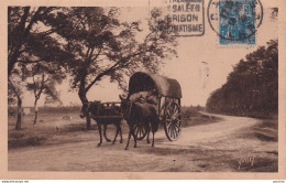 I17-40) LES LANDES DE GASCOGNE - ATTELAGE LANDAIS - ( 2 SCANS ) - Autres & Non Classés