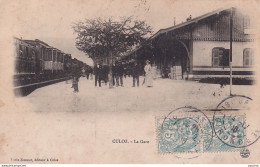  I30-01) CULOZ - AIN - LA GARE - ANIMATION - TRAIN - VOYAGEURS - EN 1906  - Non Classés