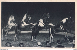 A8- CIRQUE - LA PYRAMIDE A QUATRE CHEVAUX  PRESENTE PAR LE MAITRE ECUYER AL. GRUSS - ( 2 SCANS ) - Cirque