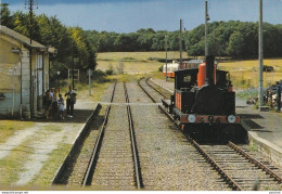 A2-17) SAUJON - LA TREMBLADE - TRAIN TOURISTIQUE DE LA SEUDRE A LA GARE DE CHAILLEVETTE - 2 SCANS - Saujon