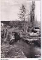 A23-71) SALORNAY SUR GUYE (SAONE ET LOIRE) UN COIN DE LA GUYE - 1959 - ( 2 SCANS ) - Autres & Non Classés