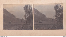  38) LIVET - ISERE - PHOTO STEREO - LE 06/8/1904 - CASCADE DU BATON - N°  2  - ( 2 SCANS ) - Photos Stéréoscopiques